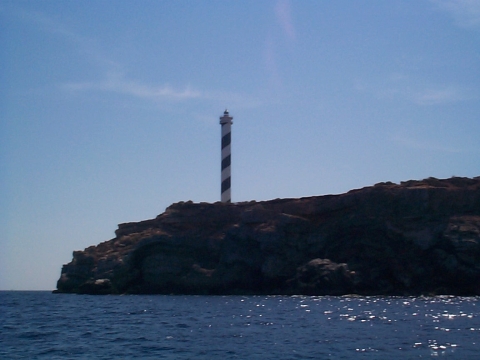 31900_0.jpg