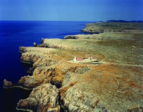 919709.jpg