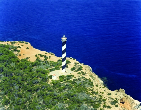 919777.jpg