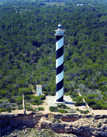 919779.jpg