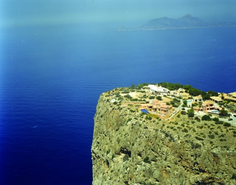 919793.jpg