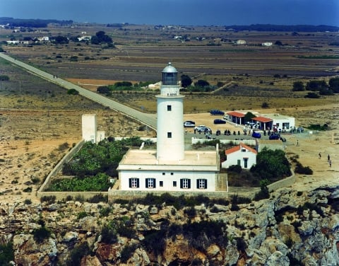 919839.jpg