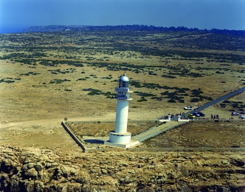 919846.jpg