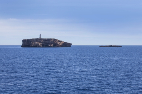 _MG_2955.jpg