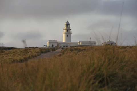cavalleria_far_foto_david_arquimbau_2.jpg