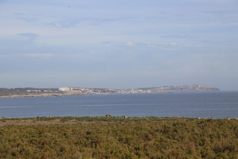 eur_7825.jpg