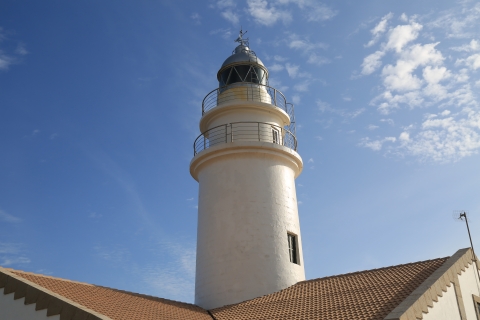 eur_8010.jpg