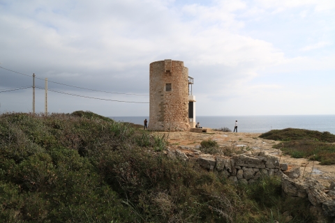 eur_8095.jpg
