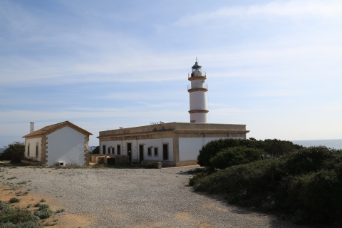 eur_8105.jpg