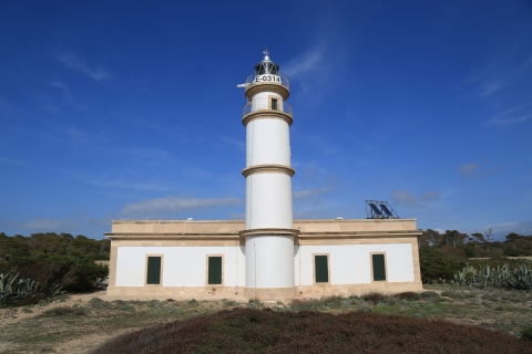 eur_8113.jpg