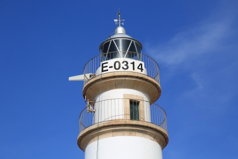 eur_8115.jpg