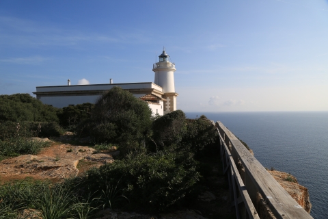 eur_8156.jpg