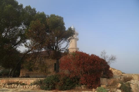 eur_8330.jpg