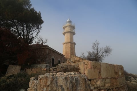 eur_8331.jpg