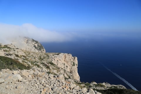 eur_8374.jpg