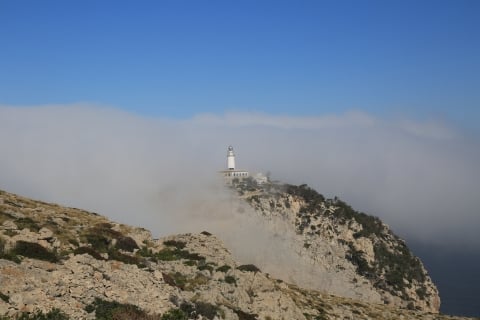 eur_8398.jpg