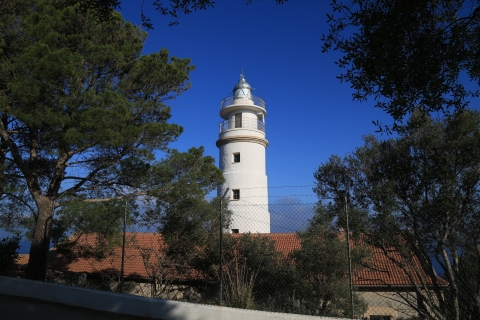 eur_8481.jpg