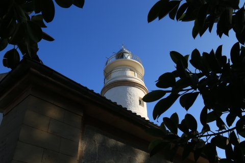 eur_8504.jpg