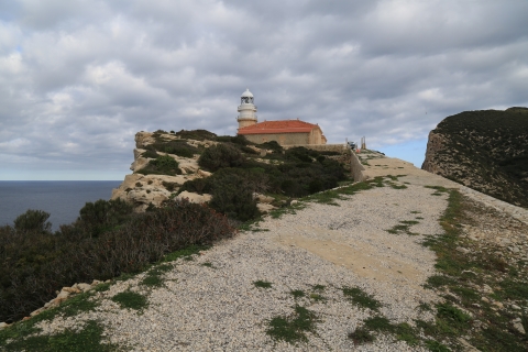 eur_8612.jpg