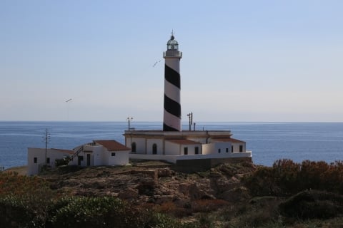 eur_8689.jpg