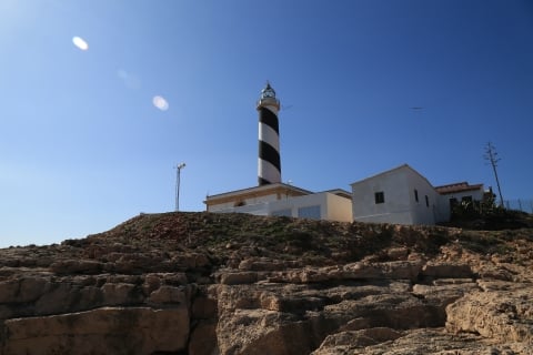 eur_8731.jpg