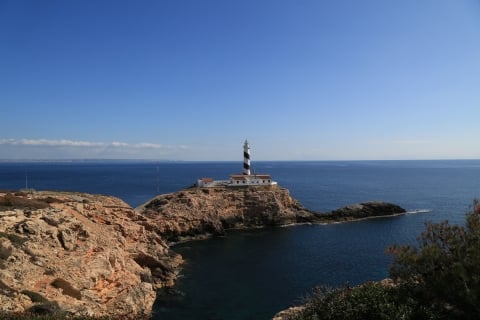 eur_8739.jpg