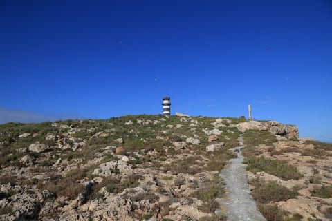 eur_8769.jpg