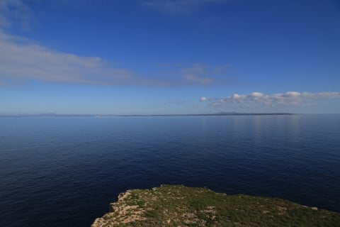 eur_8800.jpg