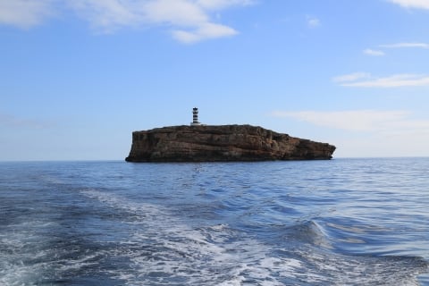 eur_8814.jpg