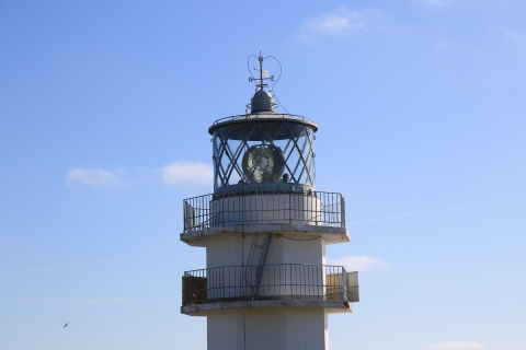 eur_8936.jpg