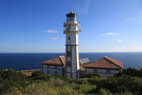 eur_8939.jpg