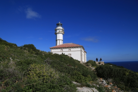 eur_8951.jpg