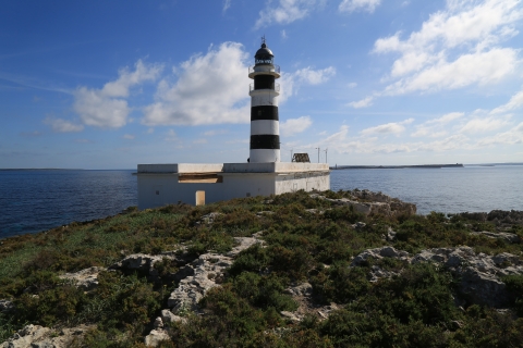 eur_9098.jpg