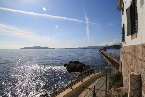 eur_9138.jpg