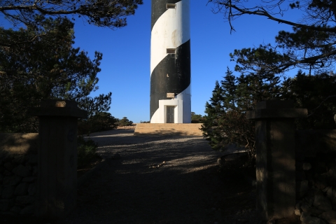 eur_9171.jpg