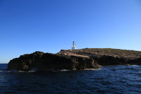 eur_9206.jpg