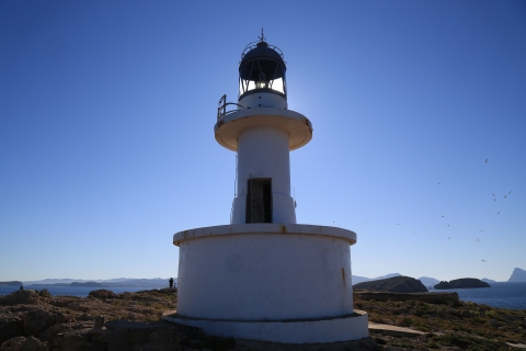 eur_9224.jpg