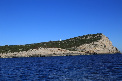 eur_9244.jpg