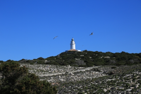 eur_9254.jpg