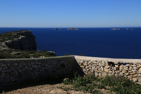eur_9308.jpg