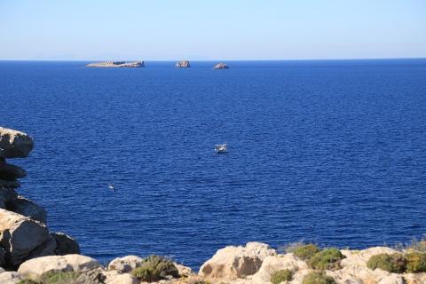 eur_9334.jpg
