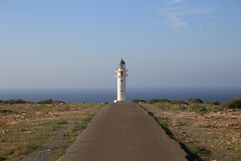 eur_9395.jpg