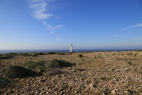 eur_9396.jpg