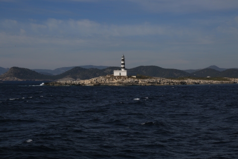 eur_9568.jpg