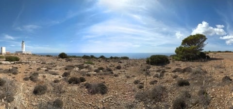 farola-mola-formenterab.jpg