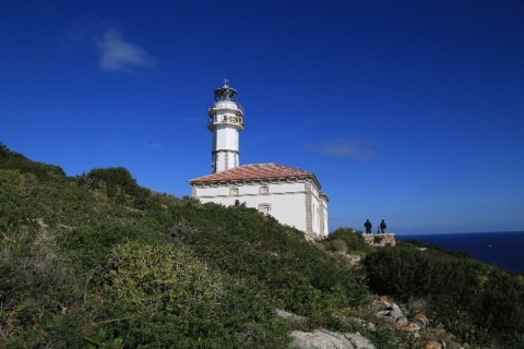 Far de Tagomago