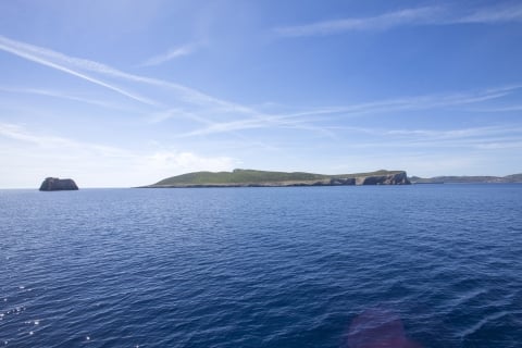 IMG_2736.jpg
