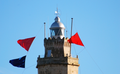 PTO  PALMA , SOLO JPG (158).jpg